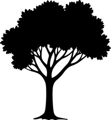 Rooted in Silence: The Tree of Life"