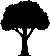 Rooted in Silence: The Tree of Life"
