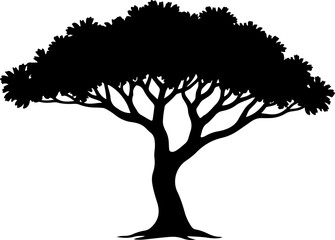 Rooted in Silence: The Tree of Life"