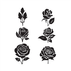 set of roses