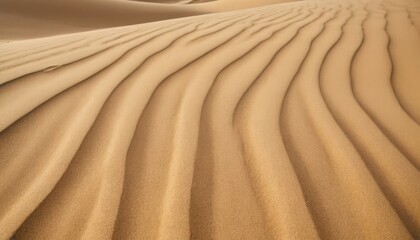 Beige Sand Waves Texture Background with Subtle Shadows. 8