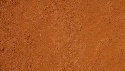 Close Up of Pitted Terracotta Surface with Natural Grain. 9