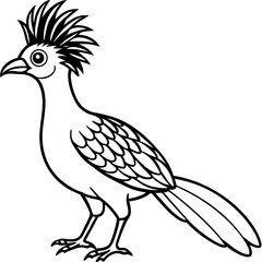 Hoatzin line art vector