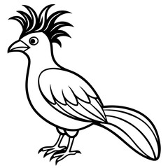Hoatzin line art vector