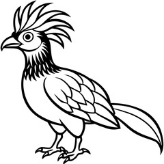 Hoatzin line art vector