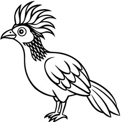 Fototapeta premium Hoatzin line art vector