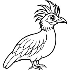 Hoatzin line art vector