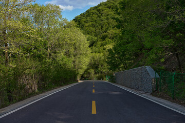 An asphalt road winds through a lush green forest with trees lining both sides of the path under a blue sky with white clouds creating a picturesque natural landscape