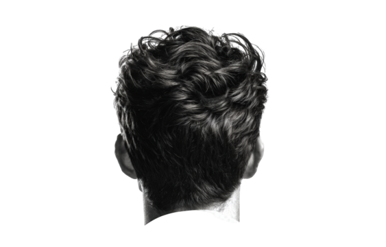 Close-up rear view of styled dark hair - Powered by Adobe