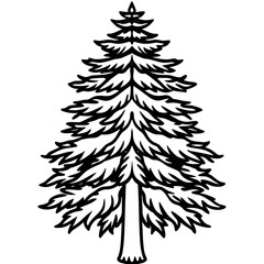 Dawn Redwood line art vector