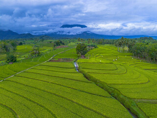 Wonderful sunrise scenery indonesia nature mountain valley forest with bright sky
