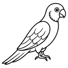 Parakeet line art vector