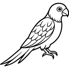 Parakeet line art vector