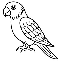 Obraz premium Parakeet line art vector