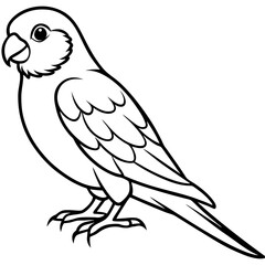 Parakeet line art vector