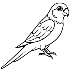 Parakeet line art vector
