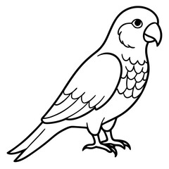 Obraz premium Parakeet line art vector
