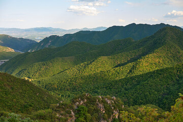 Fototapeta premium Majestic Lush Green Mountain Range Bathed in Golden Sunlight on a Clear Day