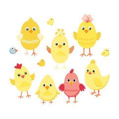 Collection of cartoon chicks and chickens. Easter chicks. Vector illustration.