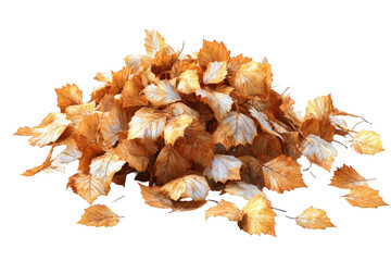 Pile of autumn leaves (1)