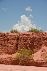 montaña cerro cueva loros 