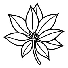 Sassafras line art vector