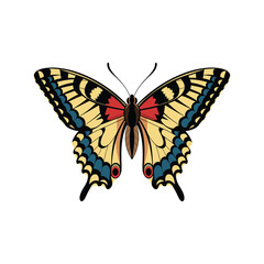 Swallowtail Butterfly Illustration – Yellow, Black, Red and Blue Butterfly Vector with Detailed Wings
