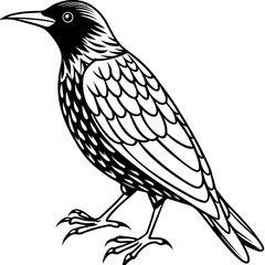 Starling line art vector