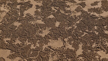 Sand crab on the beach.