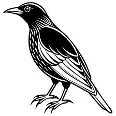 Starling line art vector
