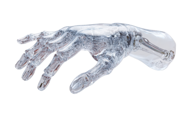 3D rendered translucent hand