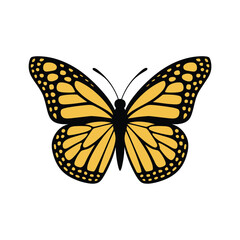 Yellow Monarch Butterfly Illustration – Black and Yellow Butterfly Vector, Insect with Detailed Wings