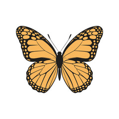 Monarch Butterfly Illustration – Orange and Black Butterfly Vector, Insect with Detailed Wings