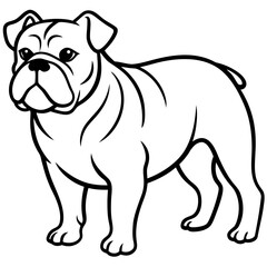 Fototapeta premium Bulldog line art vector
