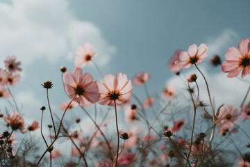 upward dreamy image of wild meadow blossoms under sky with blurred motion concept of natural lifestyle floral design and environmental beauty promotion