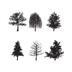 silhouette of a tree
