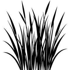 Gras vector silhouette black design white background
