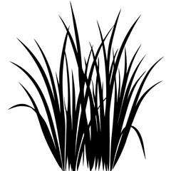 Gras vector silhouette black design white background