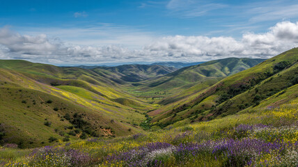 landscape with mountains and blue sky