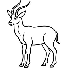 Markhor line art vector