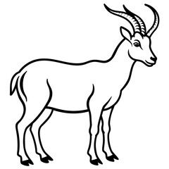 Markhor line art vector
