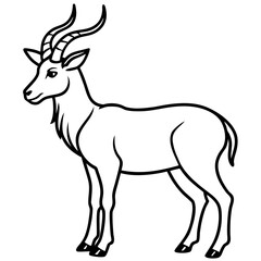 Markhor line art vector