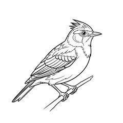 Fototapeta premium Cheerful Anime Style African Lark Coloring Page for Kids Detailed Bird Line Art