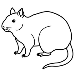 Rock Hyrax line art vector