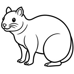 Rock Hyrax line art vector