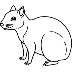 Rock Hyrax line art vector
