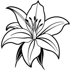 Lily line art vector