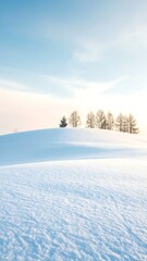 Winter Landscape Snow Hilltop