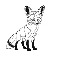 Whimsical Anime Style African Bat-eared Fox Coloring Page Kids Detailed Animal Line Art