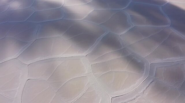 Palm tree shadow moving on cracked dry ground